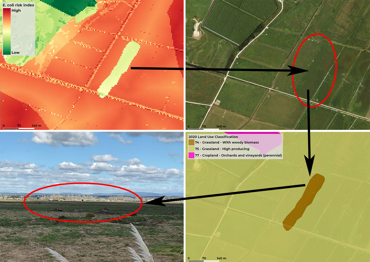 e coli risk map and satellite imagery