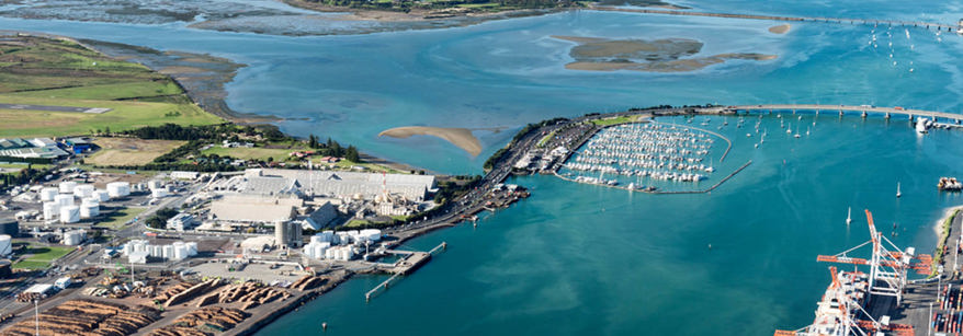 Port of Tauranga