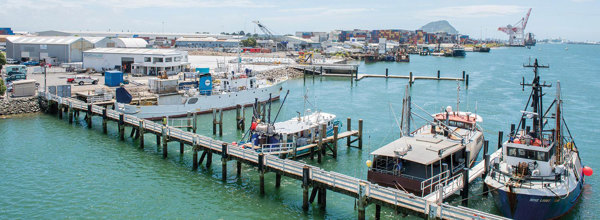 Marine Precinct Development