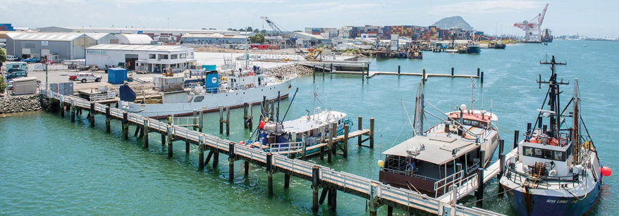 Marine Precinct Development