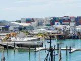 Tauranga Harbour