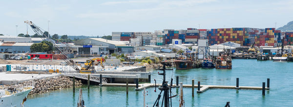 Tauranga Harbour