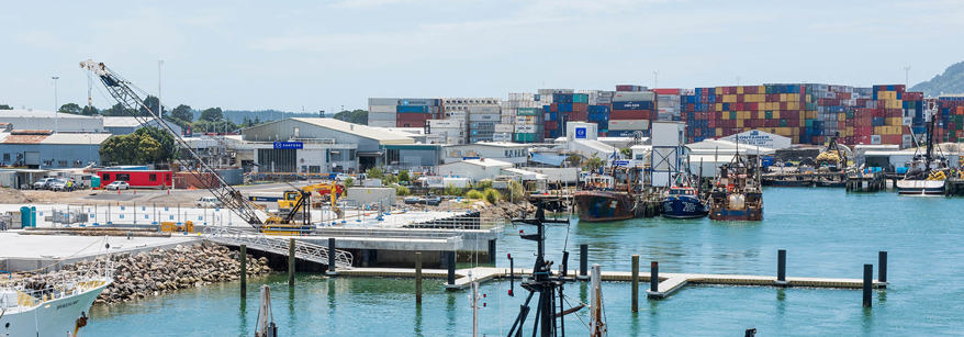 Tauranga Harbour