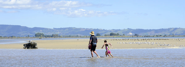 Beach in Bay of Plenty