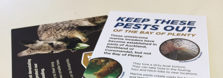 Bay of Plenty Regional Council Fact Sheets