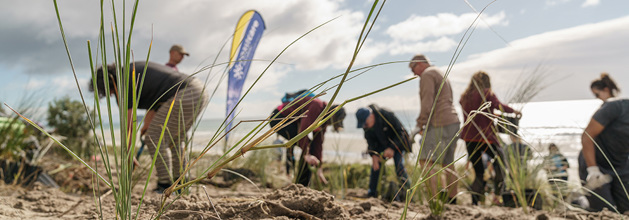 Coast Care group at Omanu Beach