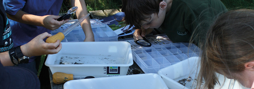 kids doing stream monitoring