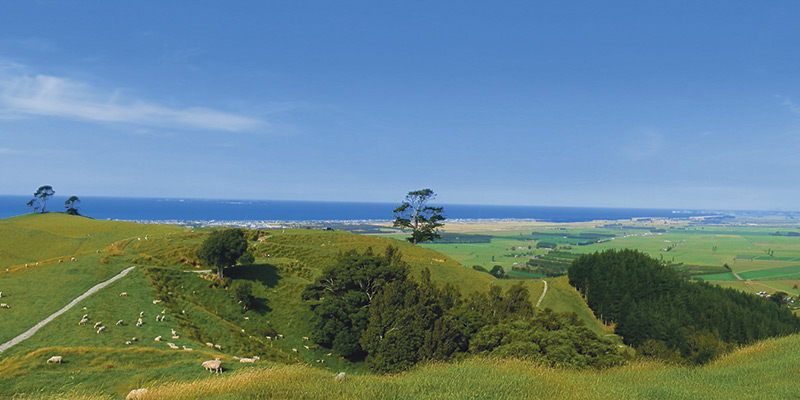 papamoa hills