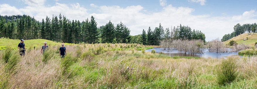 Land-management-Katikati