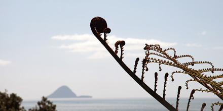 Onekawa Te Mawhai Regional Park