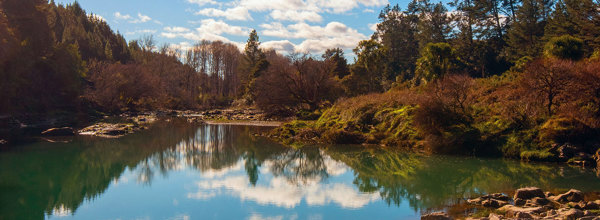 Rangitaiki River