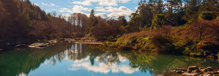 Rangitaiki River