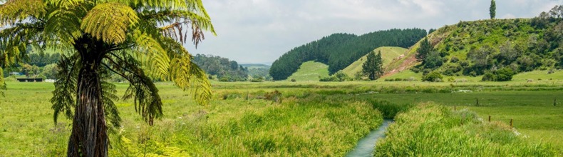 Pongakawa Waitahanui