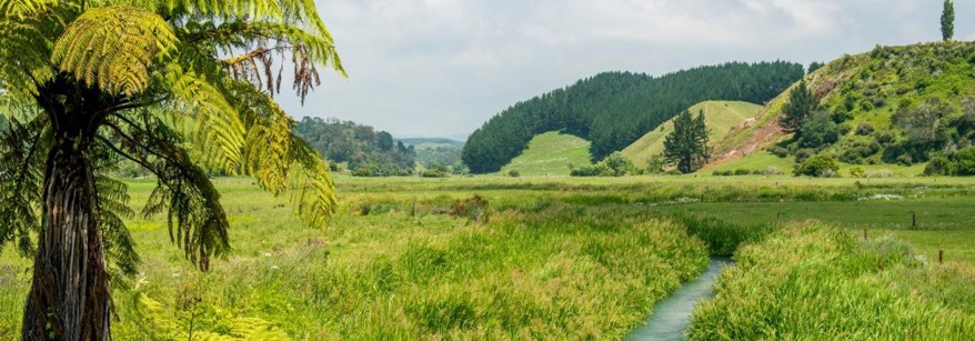 Pongakawa Waitahanui
