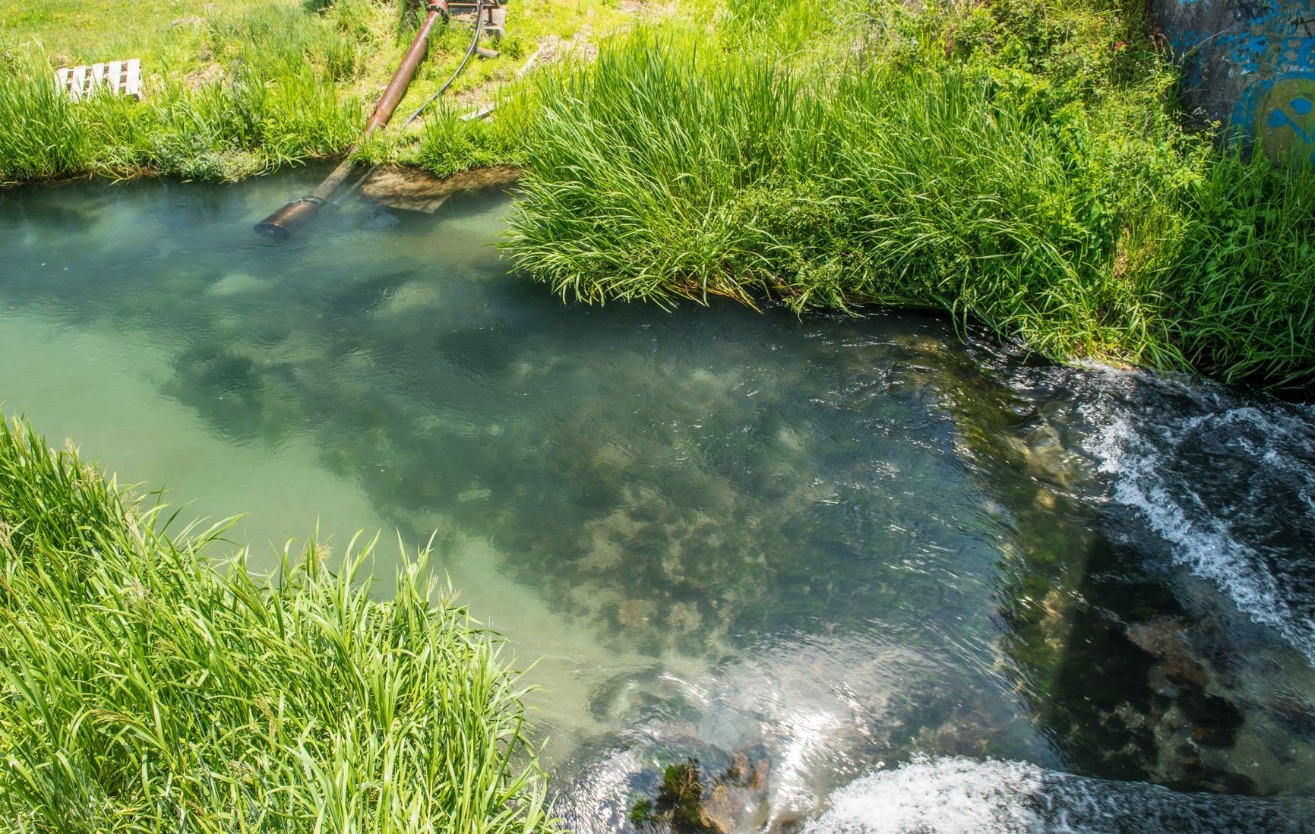 Our rivers, lakes and wetlands are home to various endemic plants, fish, birds and other wildlife that rely on healthy freshwater for at least part of their...