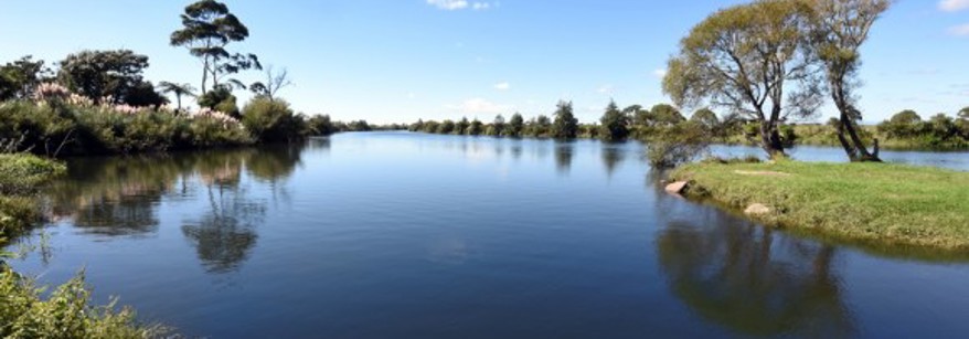 kaituna river