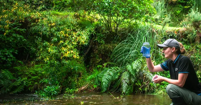 Person Taking River Quality Sample