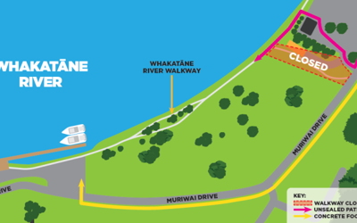 Project stages of Project Future Proof 
