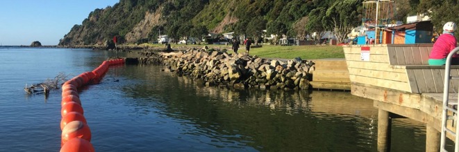 swimming platform