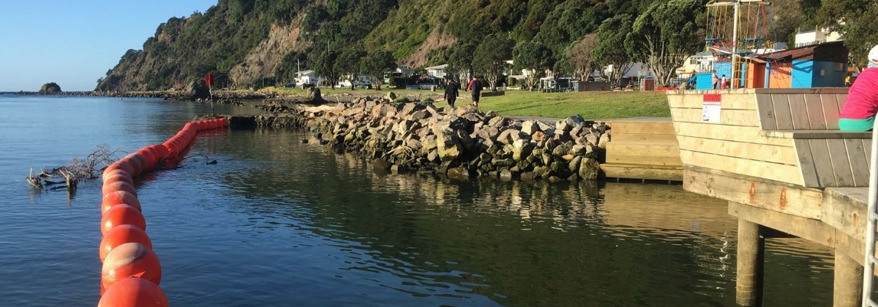 swimming platform