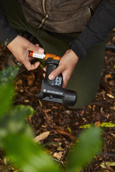 Kaimai Mamaku conservation park.