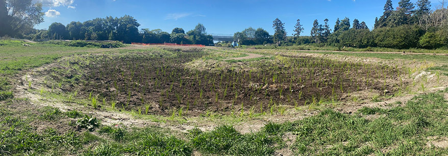 te puke park wetland