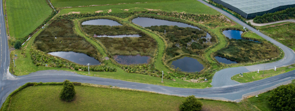 Baygold's Te Rere I Maniatutu constructed wetland