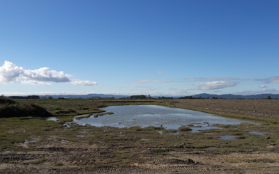2019-02-28 Rangitaiki Floodway Upgrade Project Stage 5 - Bifurcation cut