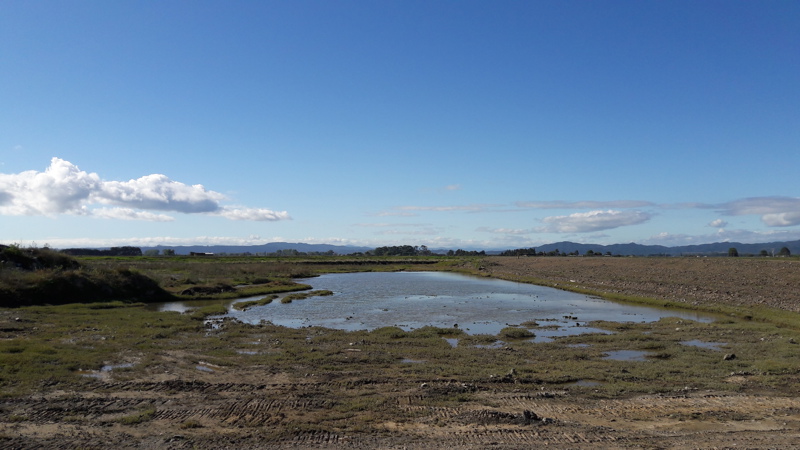 2019-02-28 Rangitaiki Floodway Upgrade Project Stage 5 - Bifurcation cut