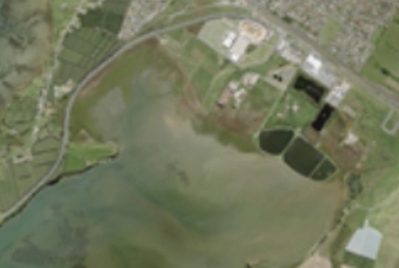 other mangrove areas