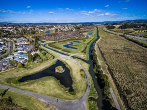 Kopurererua catchment, Carmichael Reserve-5 