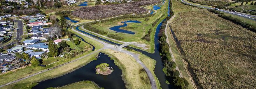 Kopurererua catchment, Carmichael Reserve-5 