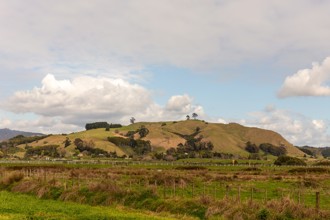 Papamoa Taylors Reserve in 1920