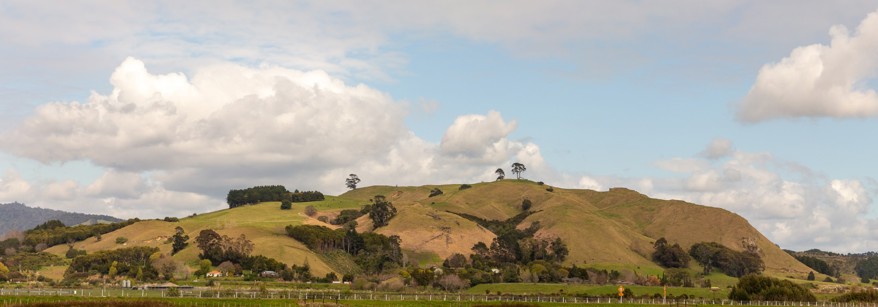 Papamoa Taylors Reserve in 1920