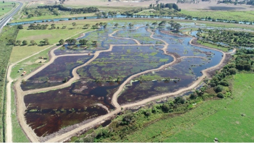 AFTER - Te Pourepo Stage 1 area - Te Tumu Kawa block after earthworks completed (March 2020).