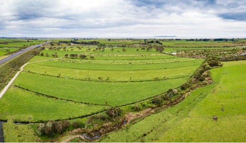 BEFORE - Te Pourepo Stage 1 area - Te Tumu Kawa block prior to wetland restoration work (October 2019).