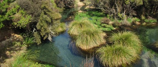 Otangimoana Street upper Rangitaiki