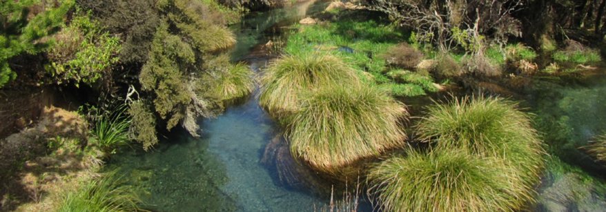 Otangimoana Street upper Rangitaiki