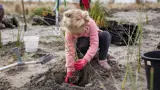 Person planting at Waihi Beach