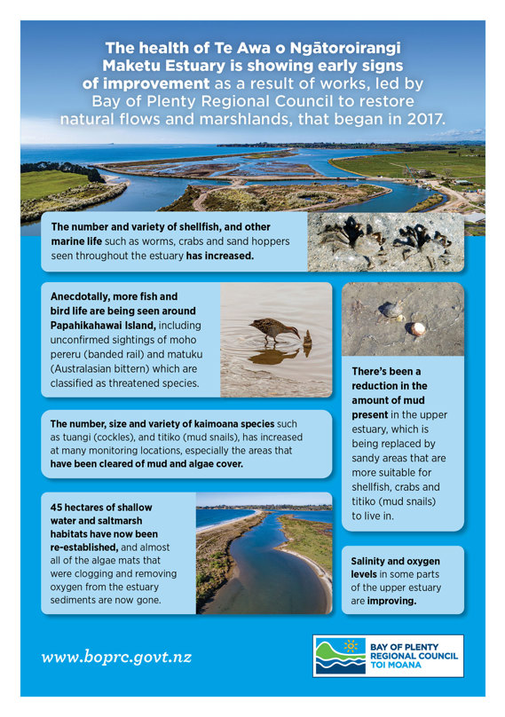 monitoring infographic