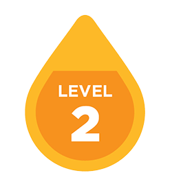 level 2