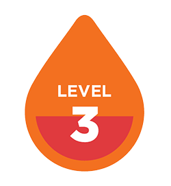 level 3