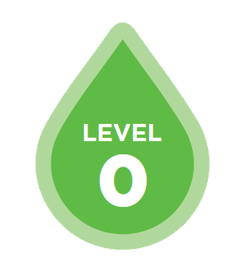 level 0