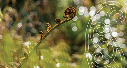 koru