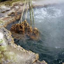 Geothermal cooking pool
