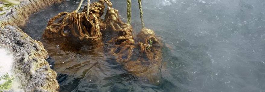 Geothermal cooking pool