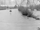 1970 flood