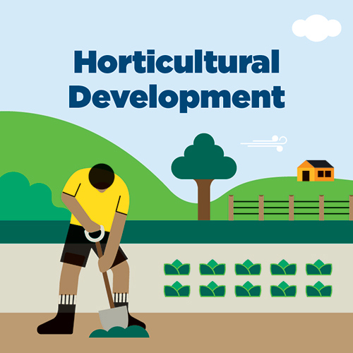 horticultural illustration