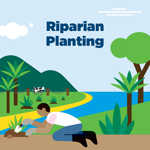Illustration of person putting plants in the soil