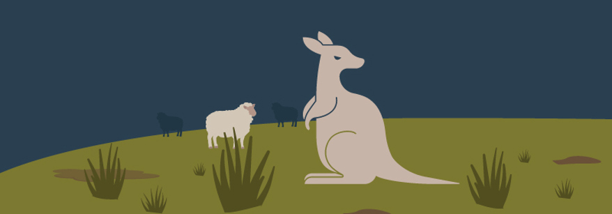 wallaby graphic